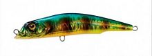 Duel Aile Magnet 3G Lipless Minnow (F) 145mm F1065-HZG