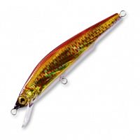 Duel Aile Magnet 3G Minnow (S) 90mm F1047-HGR